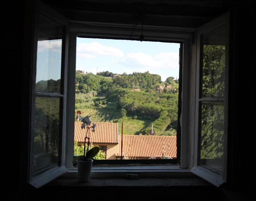 Il Piccino 29, Esperienza Romantica In Borgo.... Montescudaio Eksteriør billede