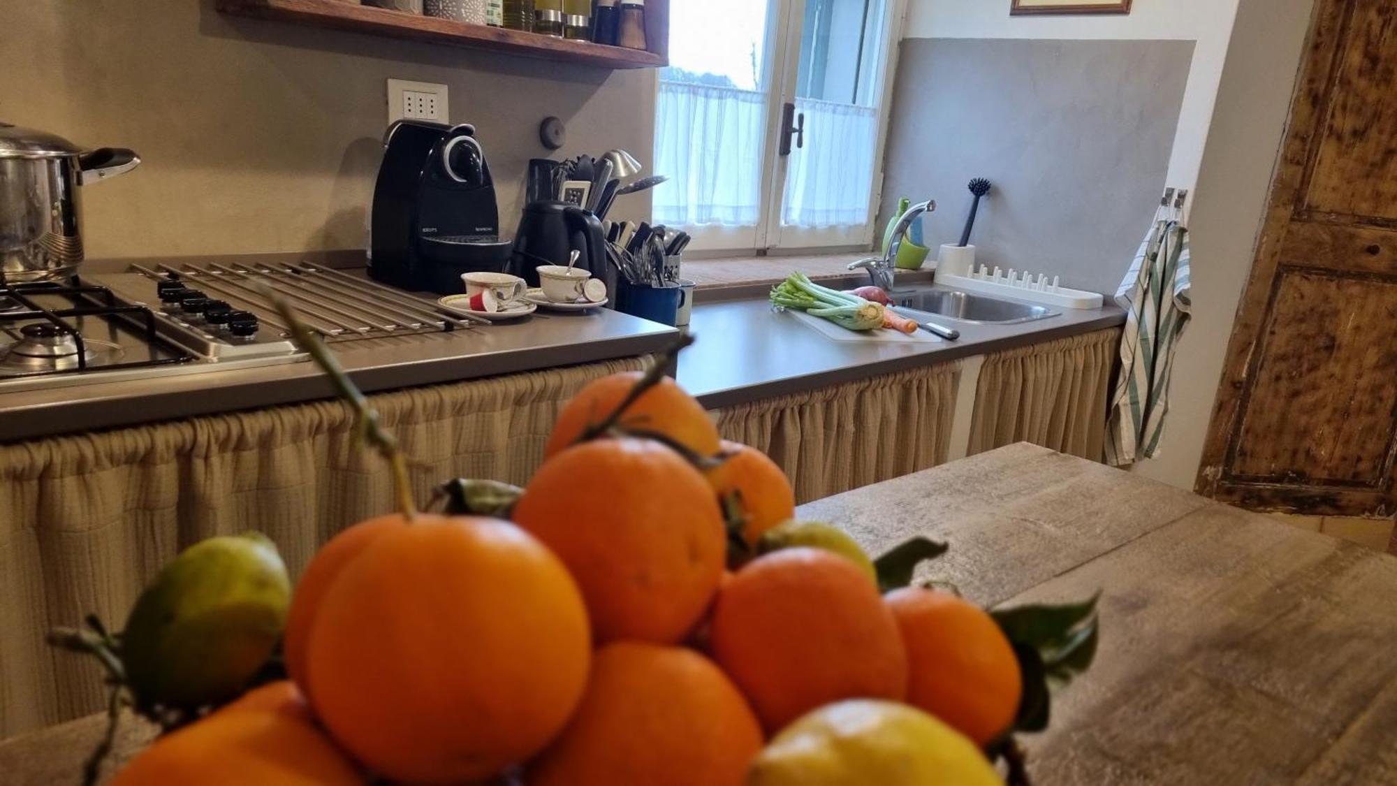 Il Piccino 29, Esperienza Romantica In Borgo.... Montescudaio Eksteriør billede
